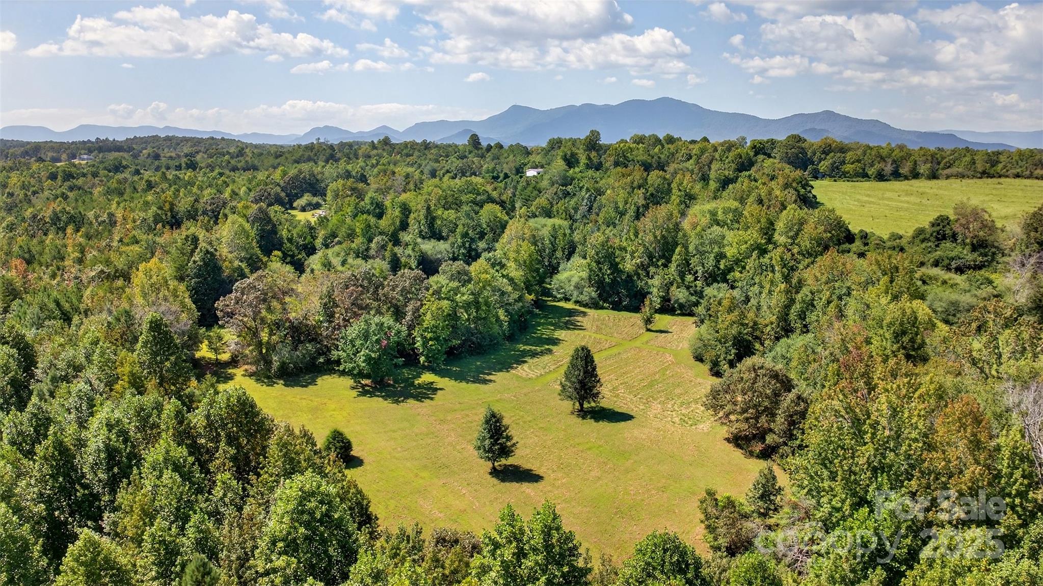 5963 Peniel Road Tryon, NC 28782 - Photo 21 of 32
