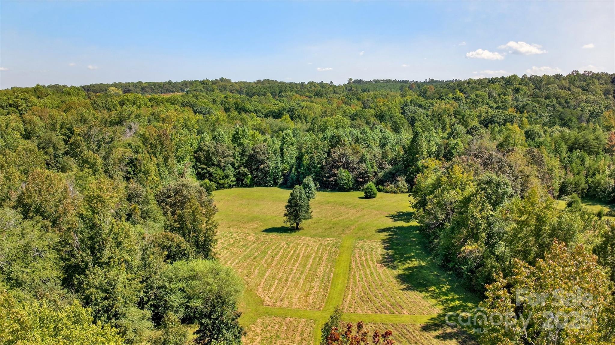 5963 Peniel Road Tryon, NC 28782 - Photo 25 of 32