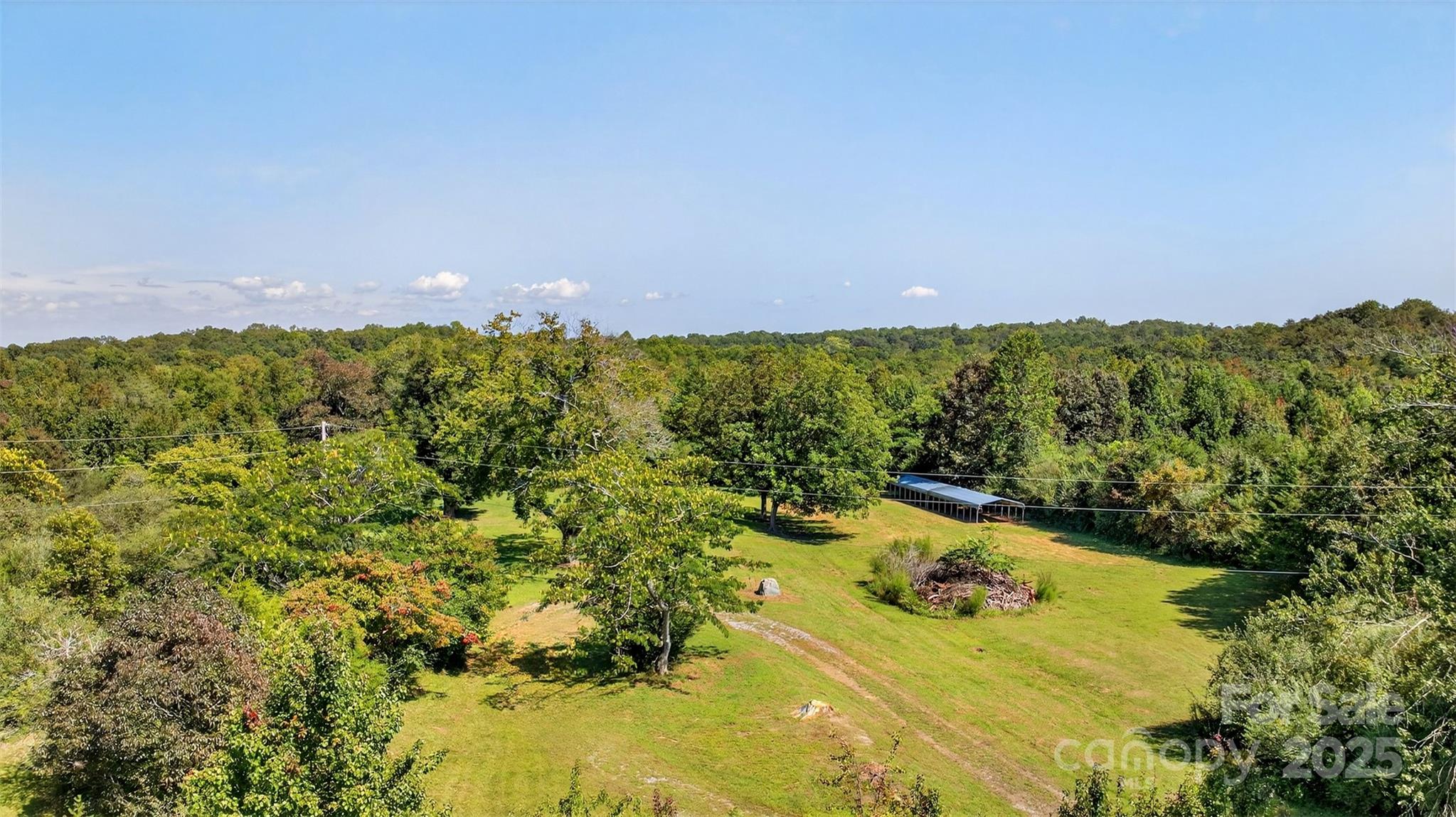 5963 Peniel Road Tryon, NC 28782 - Photo 6 of 32