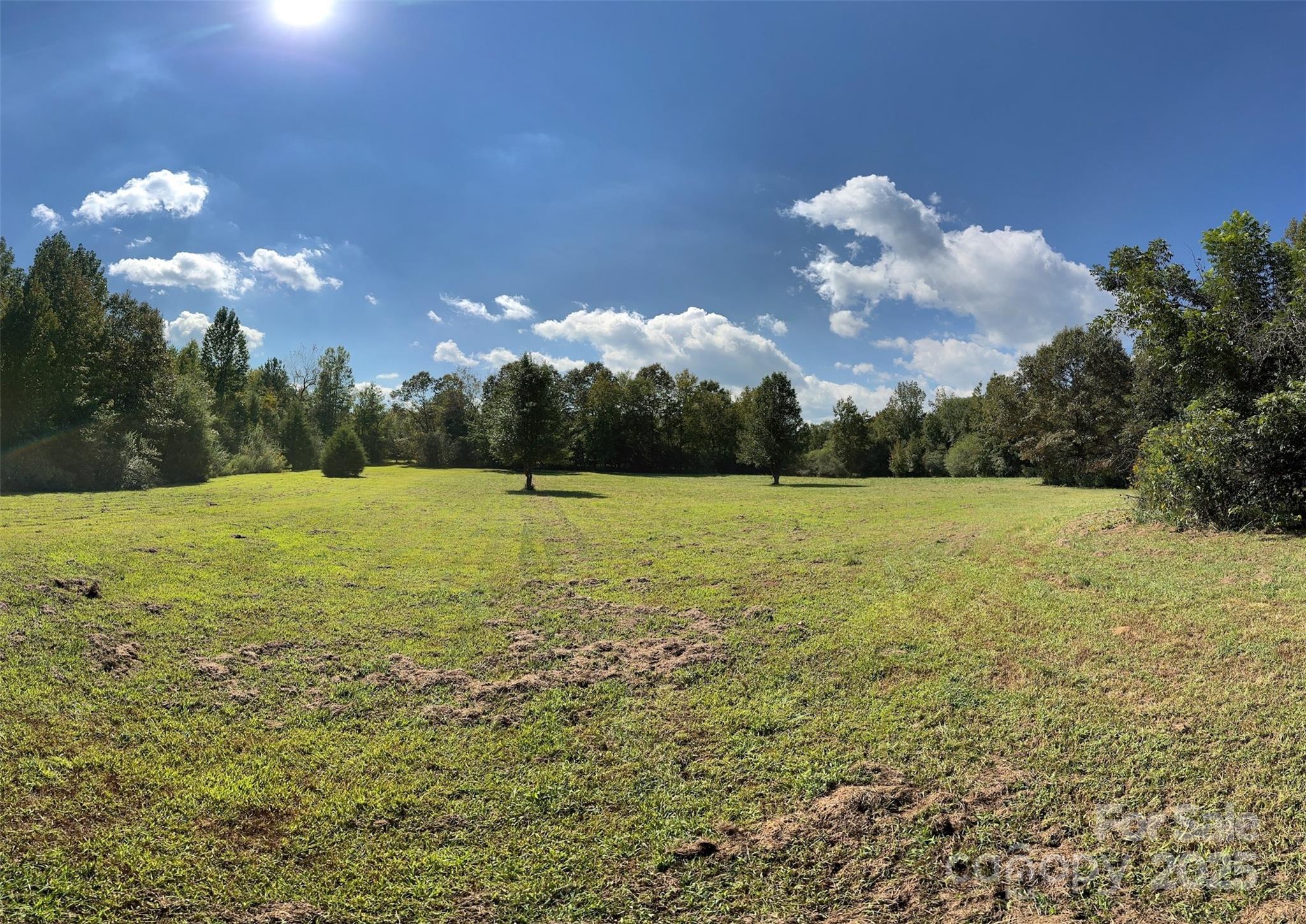 5963 Peniel Road Tryon, NC 28782 - Photo 8 of 32