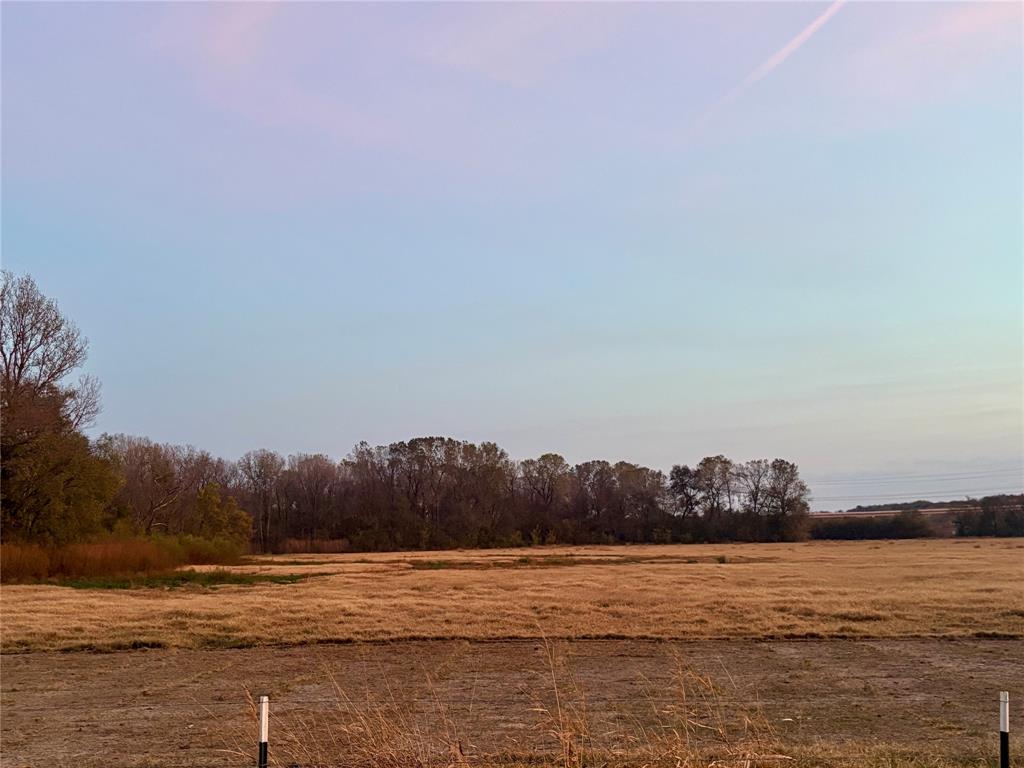 1600 Lavender Road Lancaster, TX 75146 - Photo 5 of 9 Vacant Land