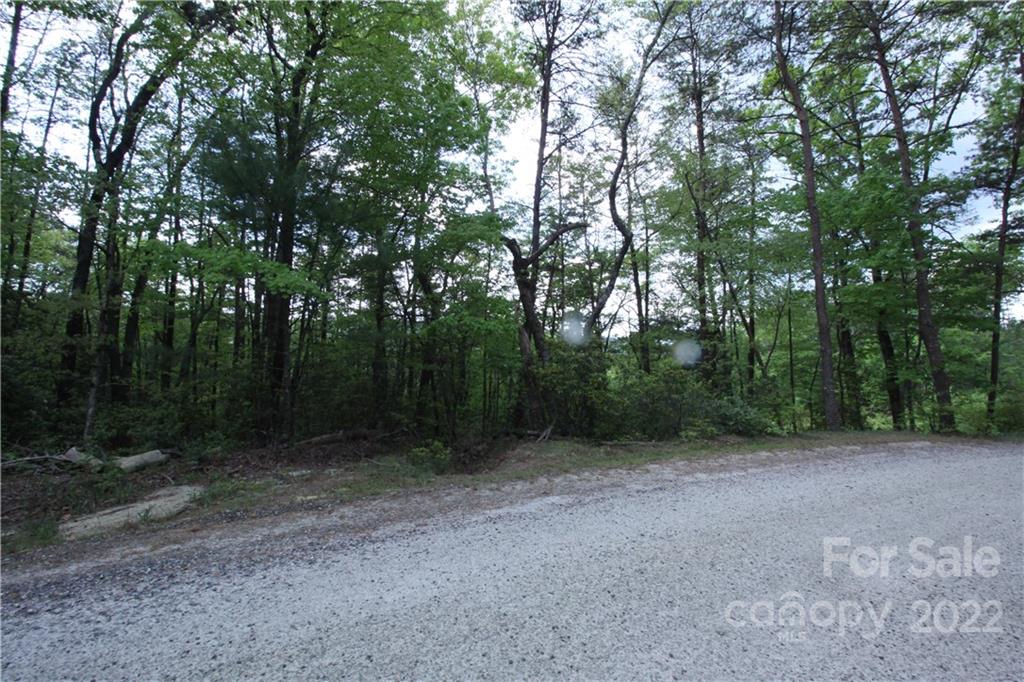 38 Round Mountain Road, Unit 38 Brevard, NC 28712 - Photo 14 of 18 Gallery Image 14