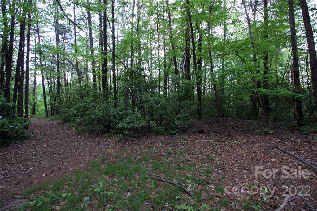 38 Round Mountain Road, Unit 38 Brevard, NC 28712 - Photo 3 of 18 Gallery Image 3
