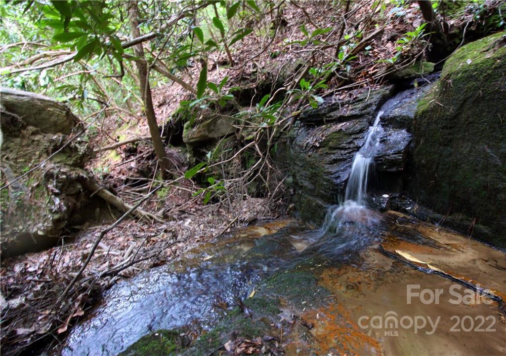 38 Round Mountain Road, Unit 38 Brevard, NC 28712 - Photo 4 of 18 Gallery Image 4
