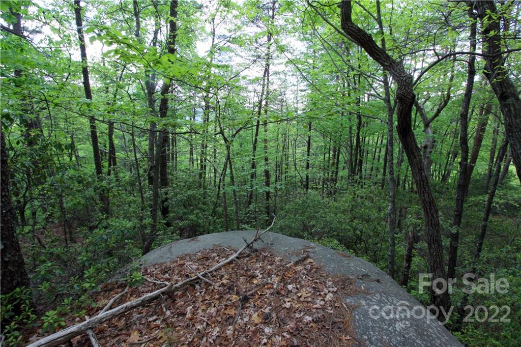38 Round Mountain Road, Unit 38 Brevard, NC 28712 - Photo 7 of 18 Gallery Image 7