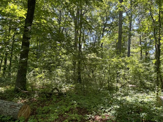 362 Cullen Savage Road Palmer, TN 37365 - Photo 35 of 76 IMG_7173