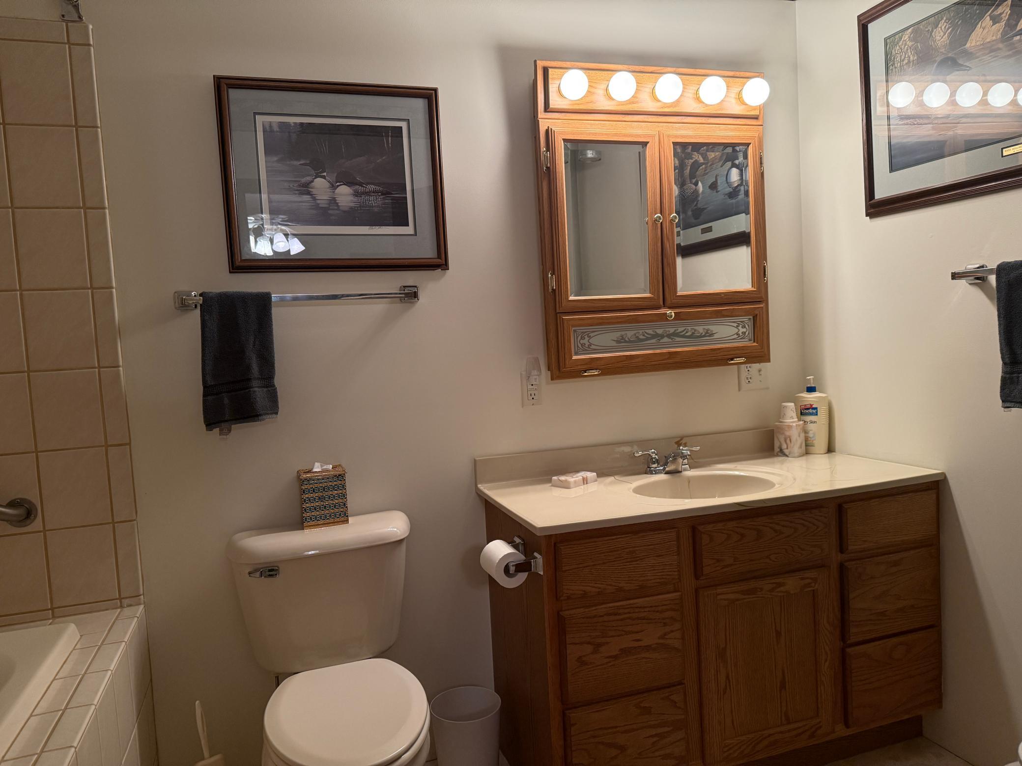 8124 Virginia Ely Road Babbitt, MN 55706 - Photo 66 of 104