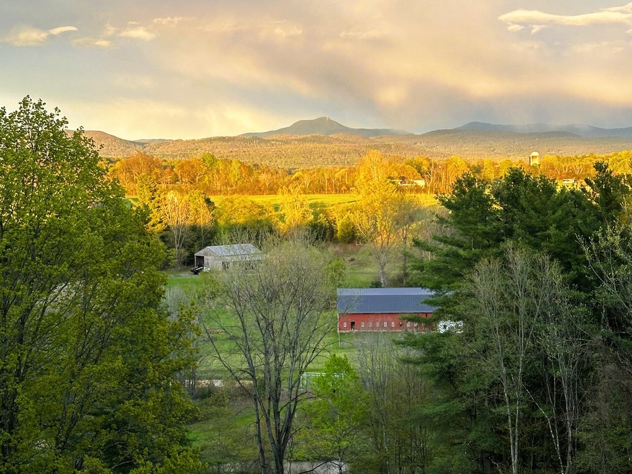 459 Carpenter Road Charlotte, VT 05445 - Photo 58 of 60