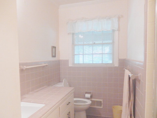 242 Slide Hill Road Johnston, SC 29832 - Photo 10 of 15 Master Bathroom