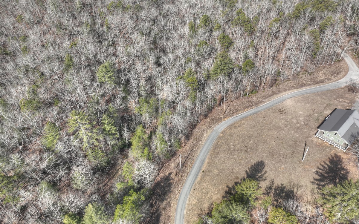 Mt Herman Road Mineral Bluff, GA 30559 - Photo 13 of 15 Additional View