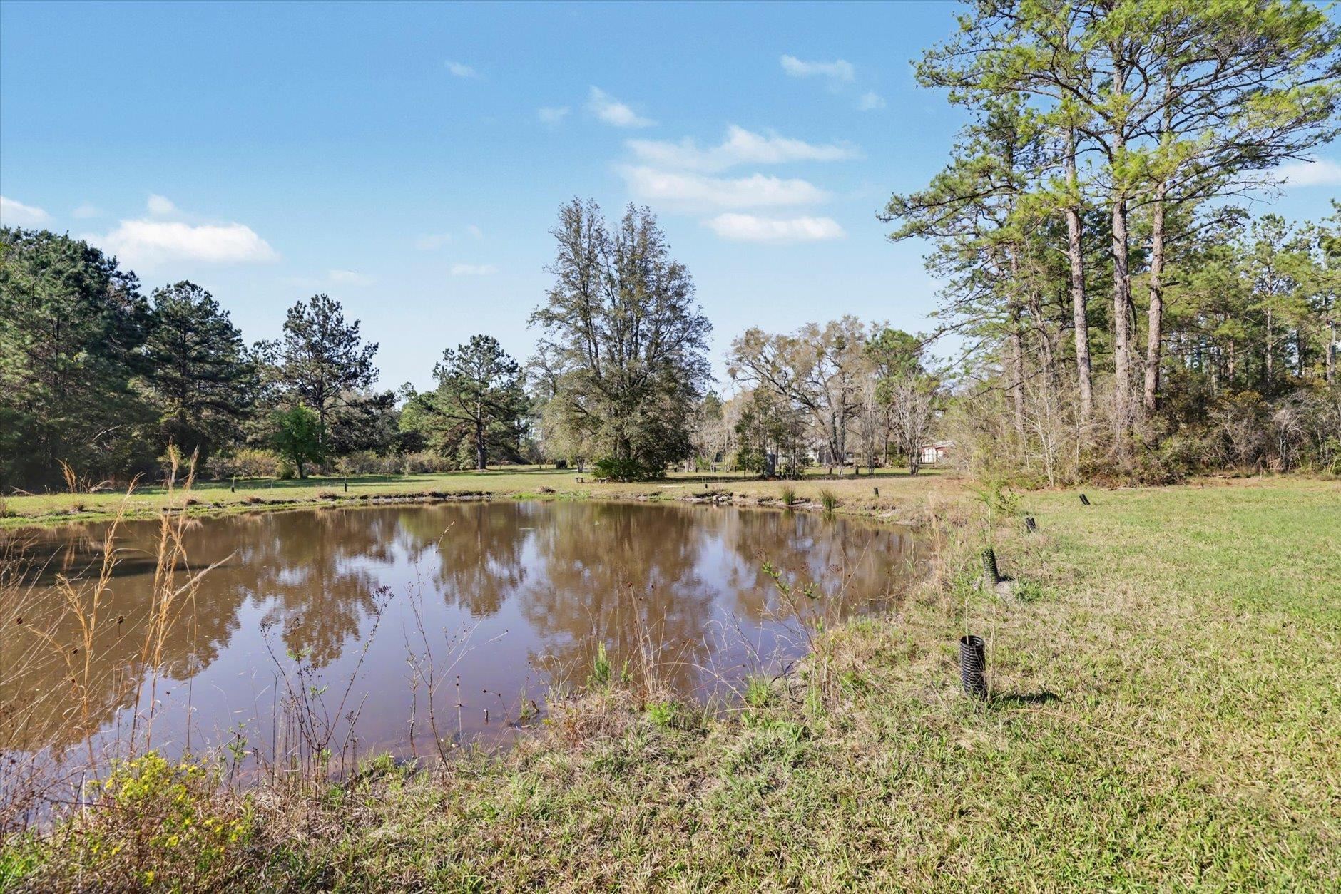 2184 Tram Road Monticello, FL 32344 - Photo 24 of 61