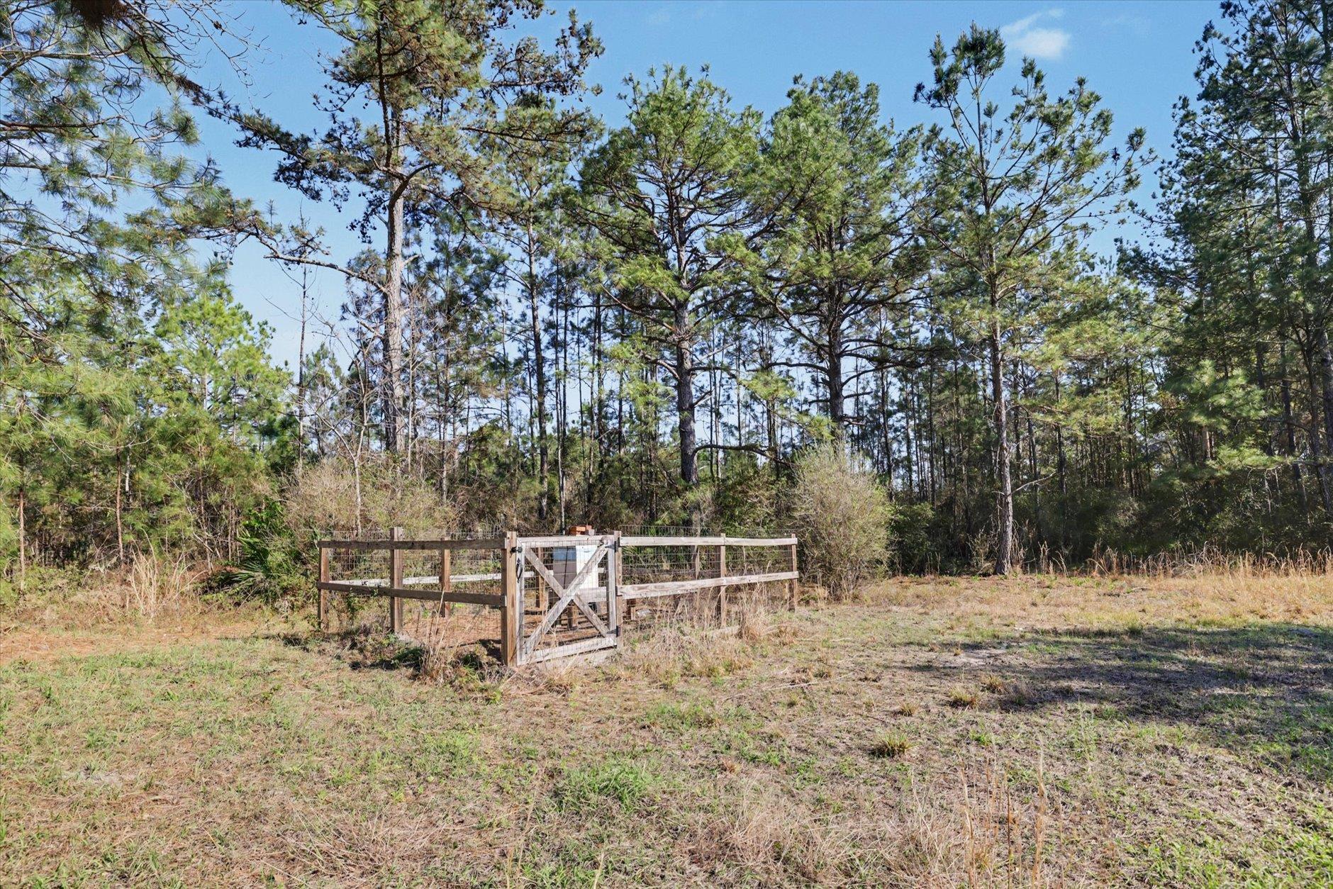 2184 Tram Road Monticello, FL 32344 - Photo 26 of 61