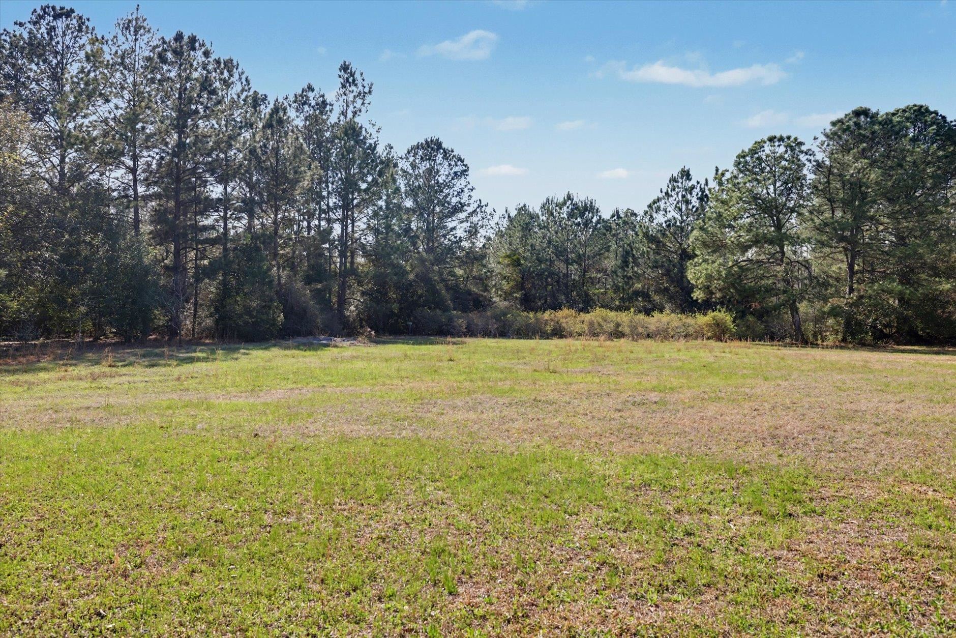 2184 Tram Road Monticello, FL 32344 - Photo 27 of 61