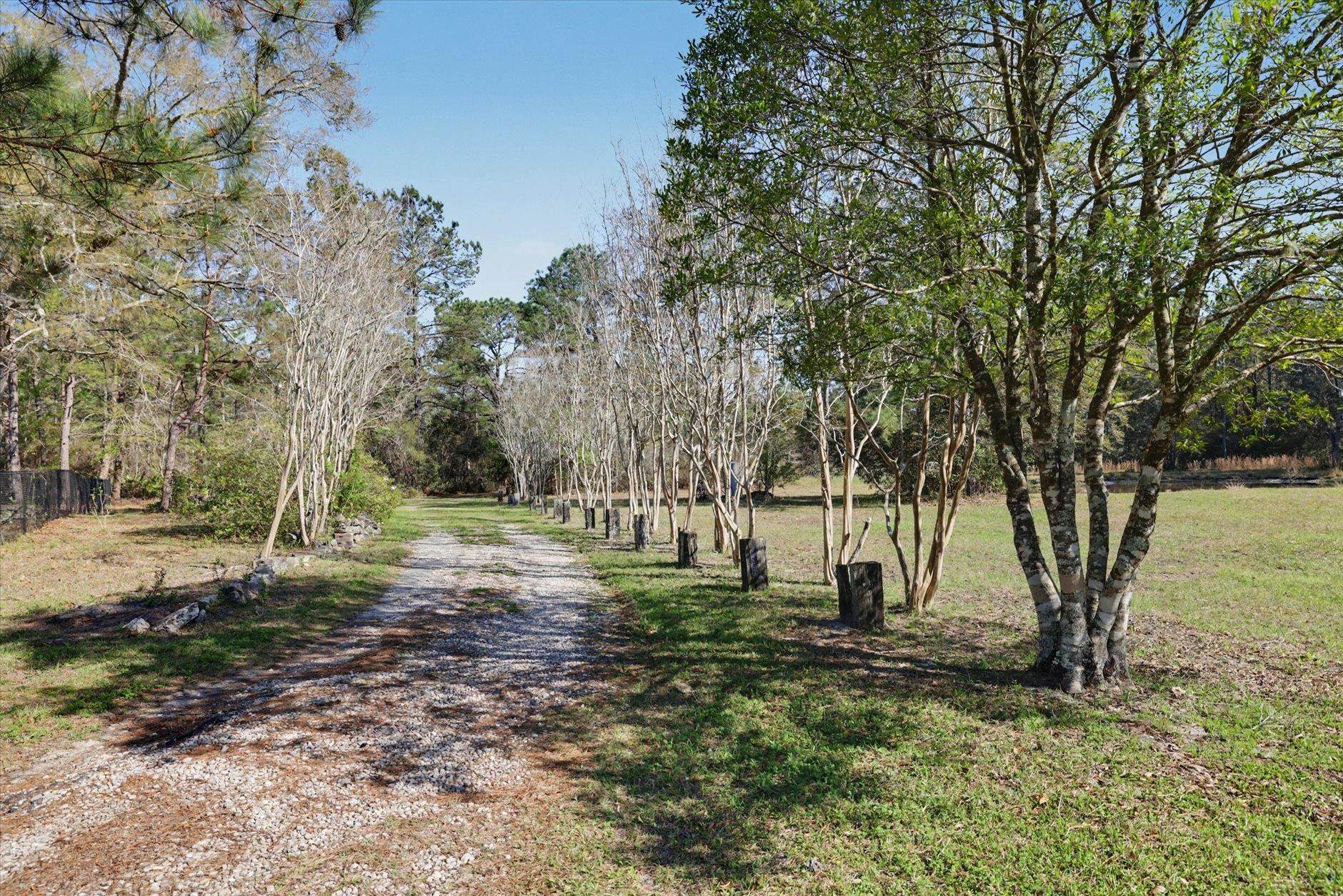 2184 Tram Road Monticello, FL 32344 - Photo 31 of 61