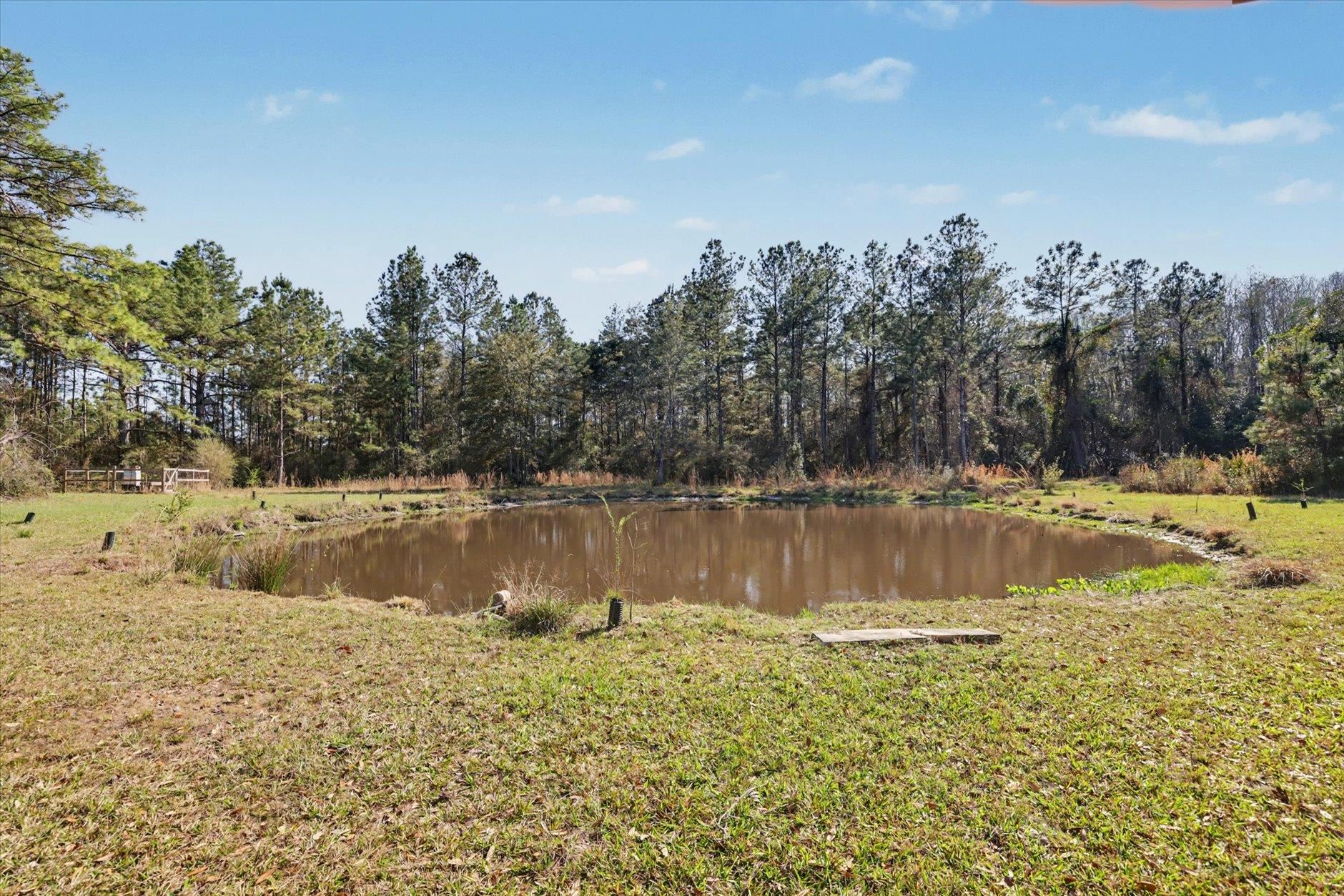 2184 Tram Road Monticello, FL 32344 - Photo 54 of 61 Gallery Image 54