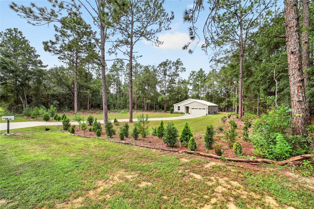 5890 Southwest 128th Ter Road Ocala, FL 34481 - Photo 9 of 77 Gallery Image 9