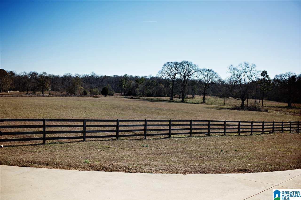 665 Scurlock Ranch Road Vincent, AL 35178 - Photo 39 of 41
