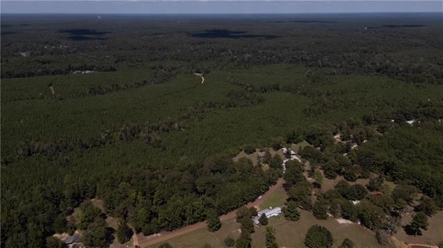 0 Walker Road Pollock, LA 71467 - Photo 6 of 7 Gallery Image 6