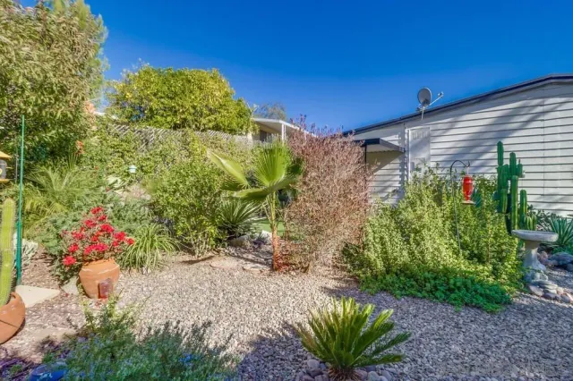 a view of a yard with grass and a fountain