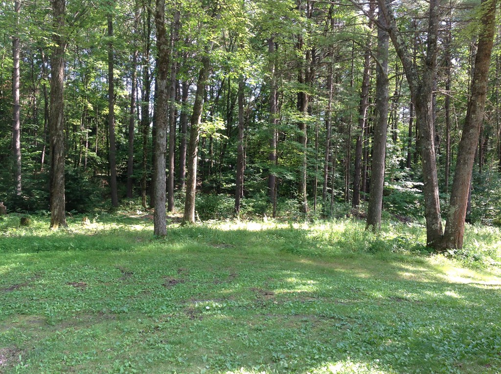 125 Merrifield Road Bernardston, MA 01337 - Photo 3 of 3 Gallery Image 3