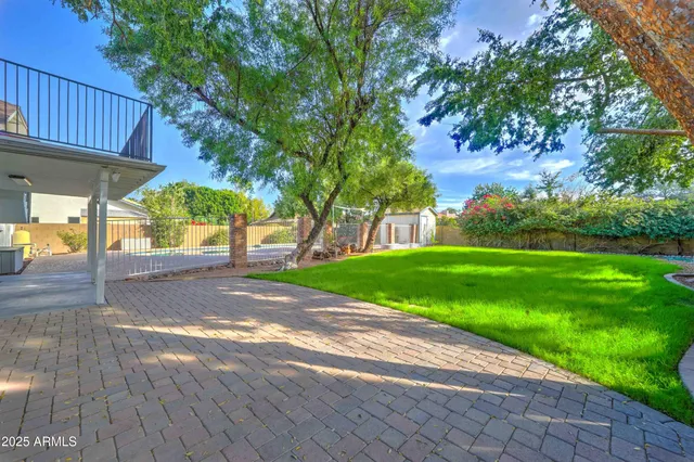 a view of a yard with plants and trees