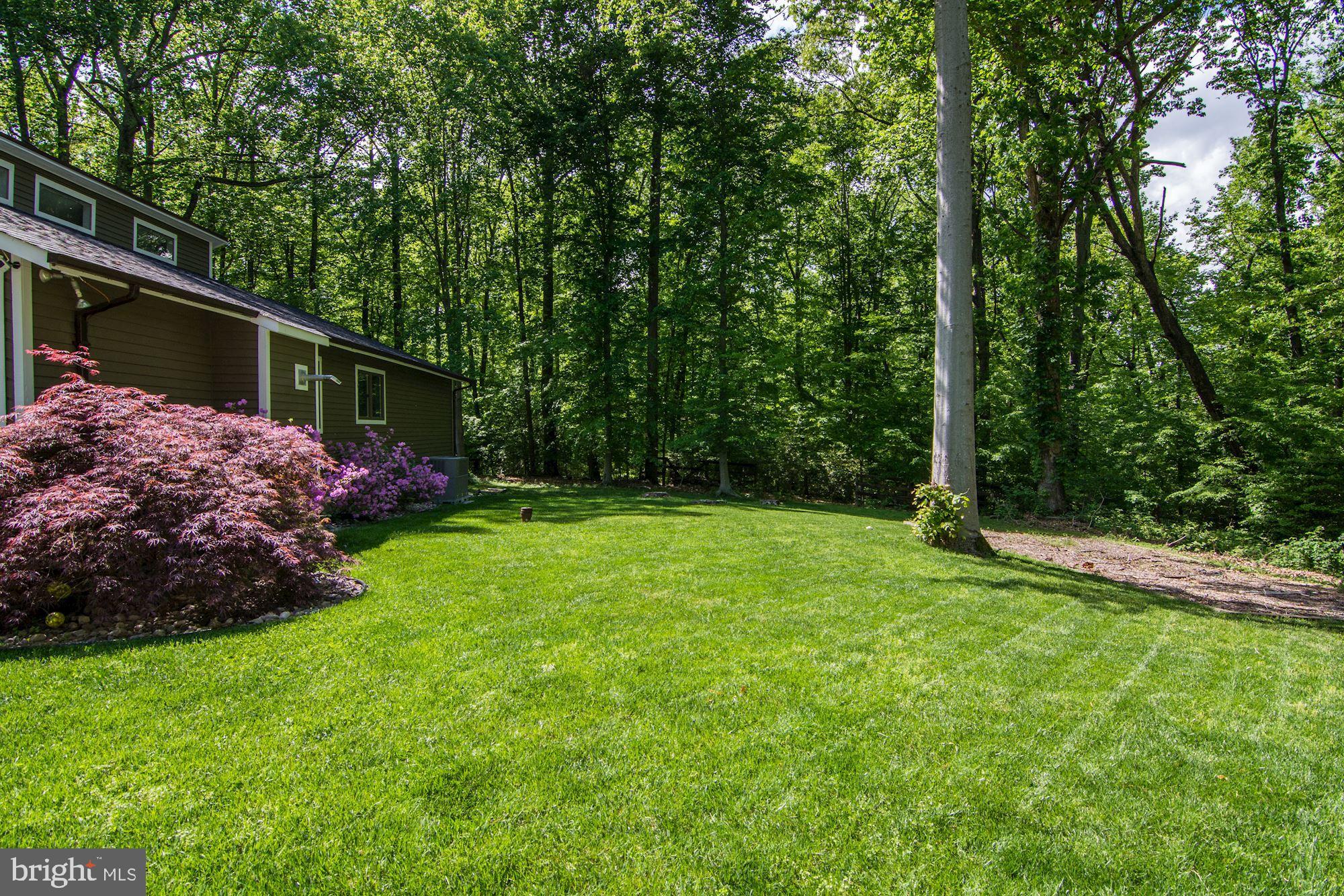 130 Claiborne Road Edgewater, MD 21037 - Photo 11 of 40 Spacious 2.2 Acre Lot