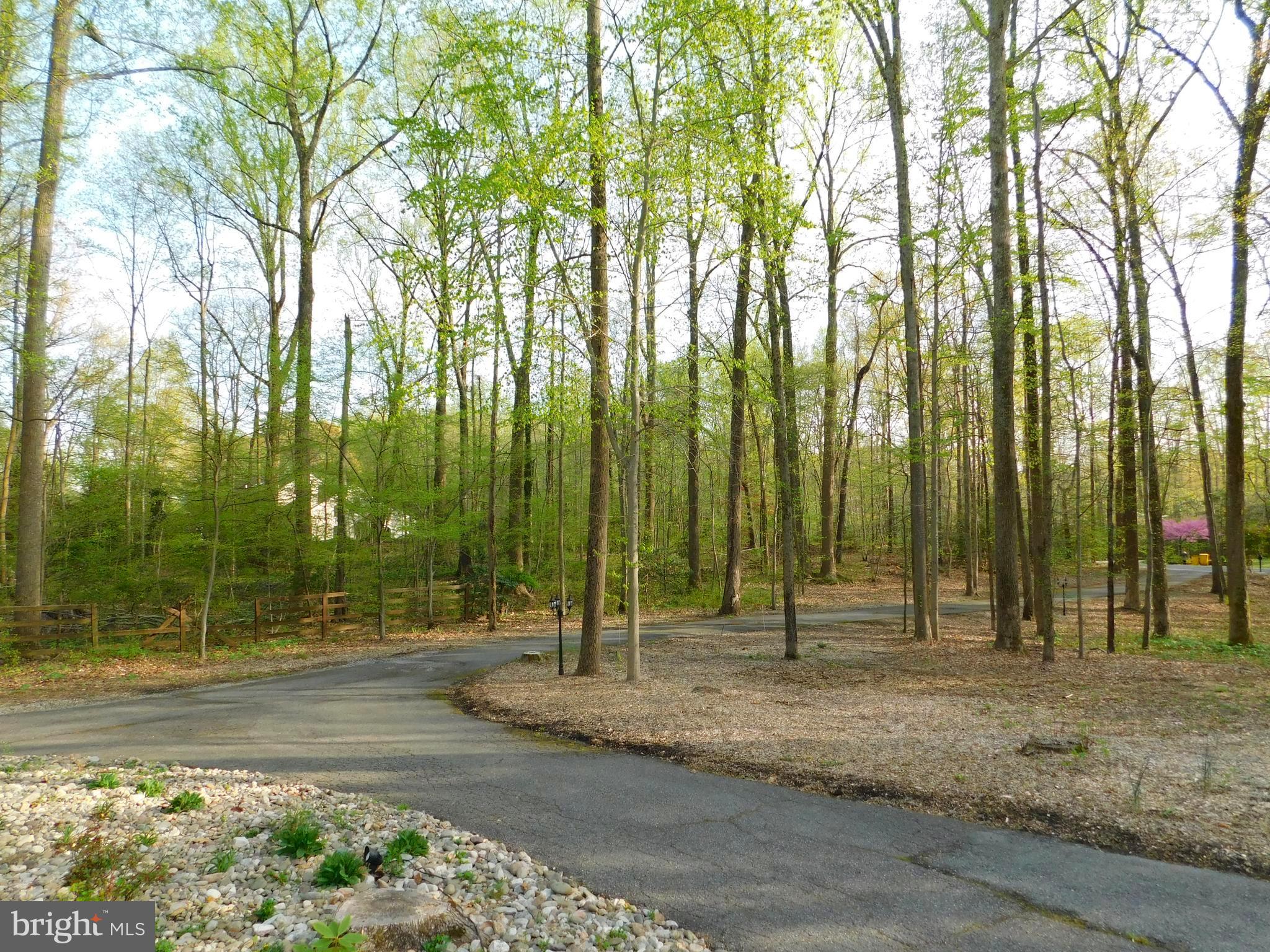 130 Claiborne Road Edgewater, MD 21037 - Photo 40 of 40 Long Paved Scenic Driveway