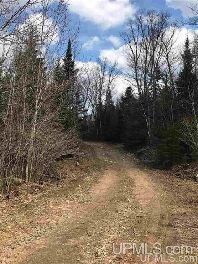 Off Chipmunk Road, Unit PARCEL 3 Republic, MI 49879 - Photo 1 of 4