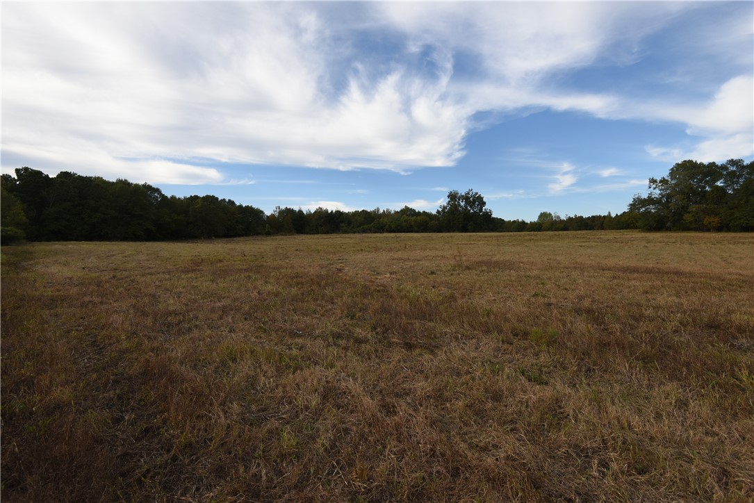 7500 Highway 252 Honea Path, SC 29654 - Photo 2 of 14 Gallery Image 2