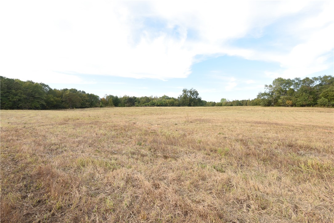 7500 Highway 252 Honea Path, SC 29654 - Photo 3 of 14 Gallery Image 3