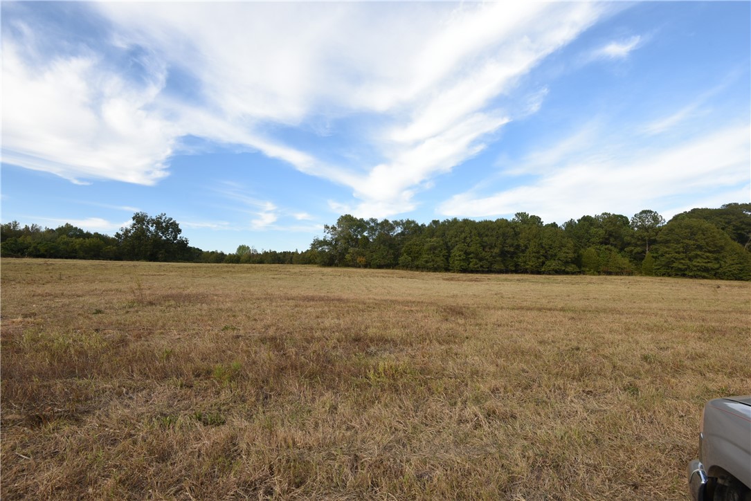 7500 Highway 252 Honea Path, SC 29654 - Photo 5 of 14 Gallery Image 5