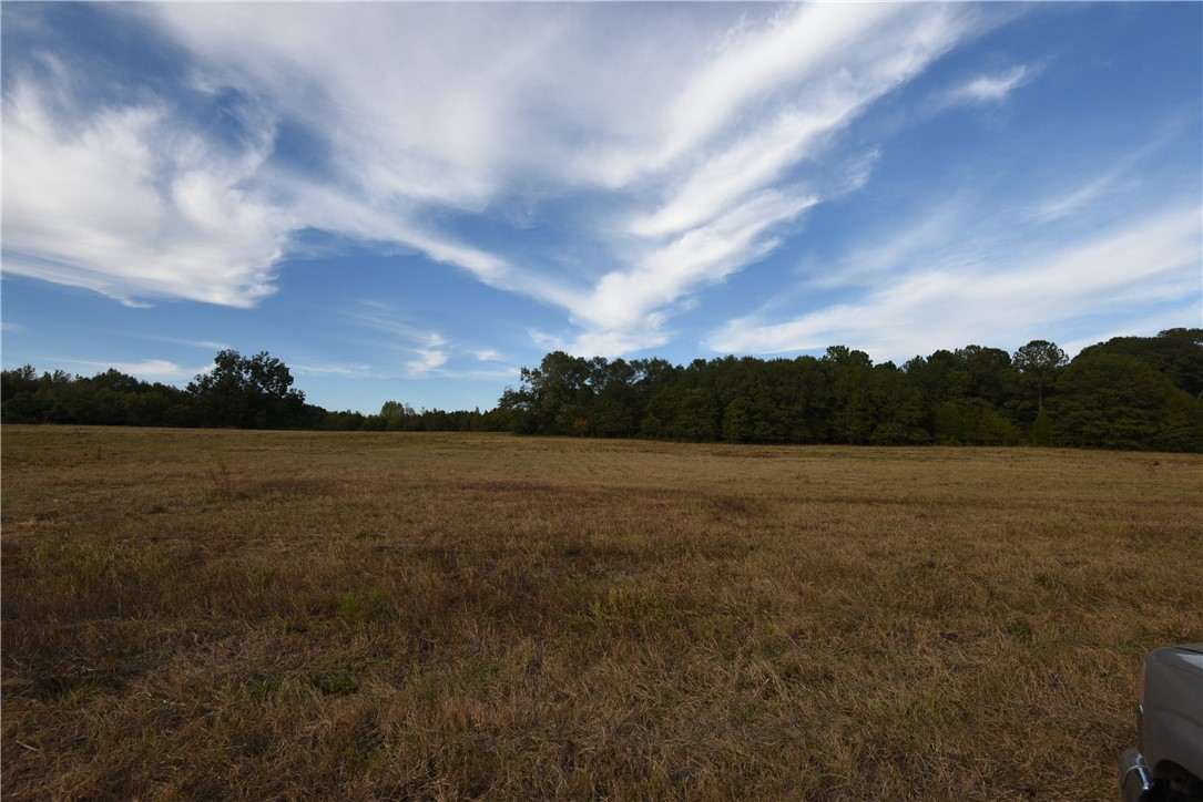 7500 Highway 252 Honea Path, SC 29654 - Photo 6 of 14 Gallery Image 6