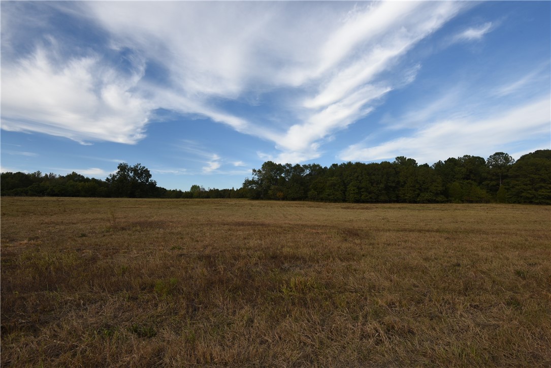 7500 Highway 252 Honea Path, SC 29654 - Photo 7 of 14 Gallery Image 7