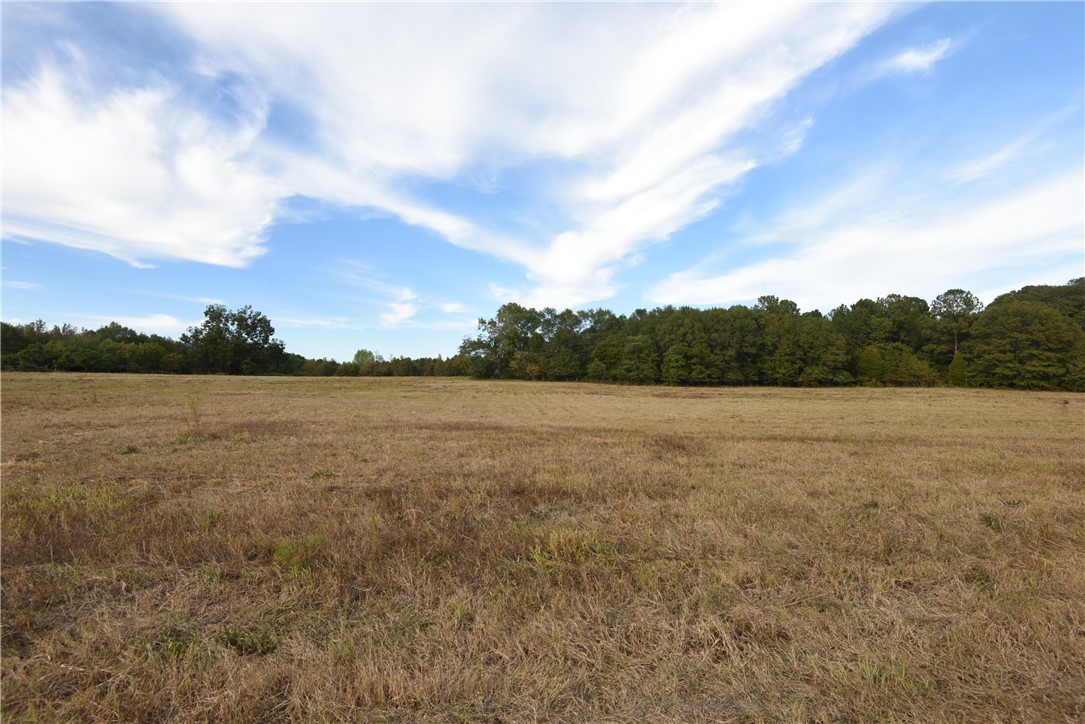 7500 Highway 252 Honea Path, SC 29654 - Photo 8 of 14 Gallery Image 8