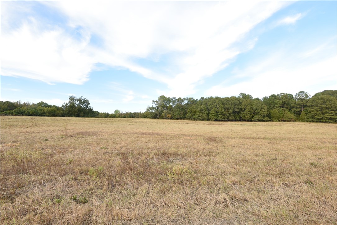 7500 Highway 252 Honea Path, SC 29654 - Photo 9 of 14 Gallery Image 9