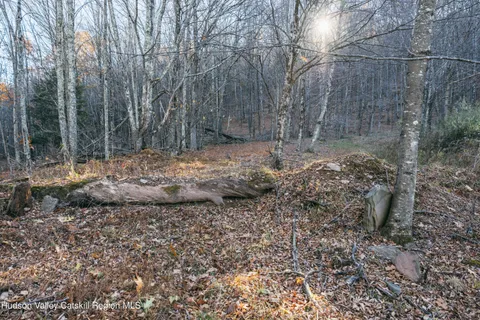 $99,000 | 1361 Weaver Hollow Road, Andes, NY 12455