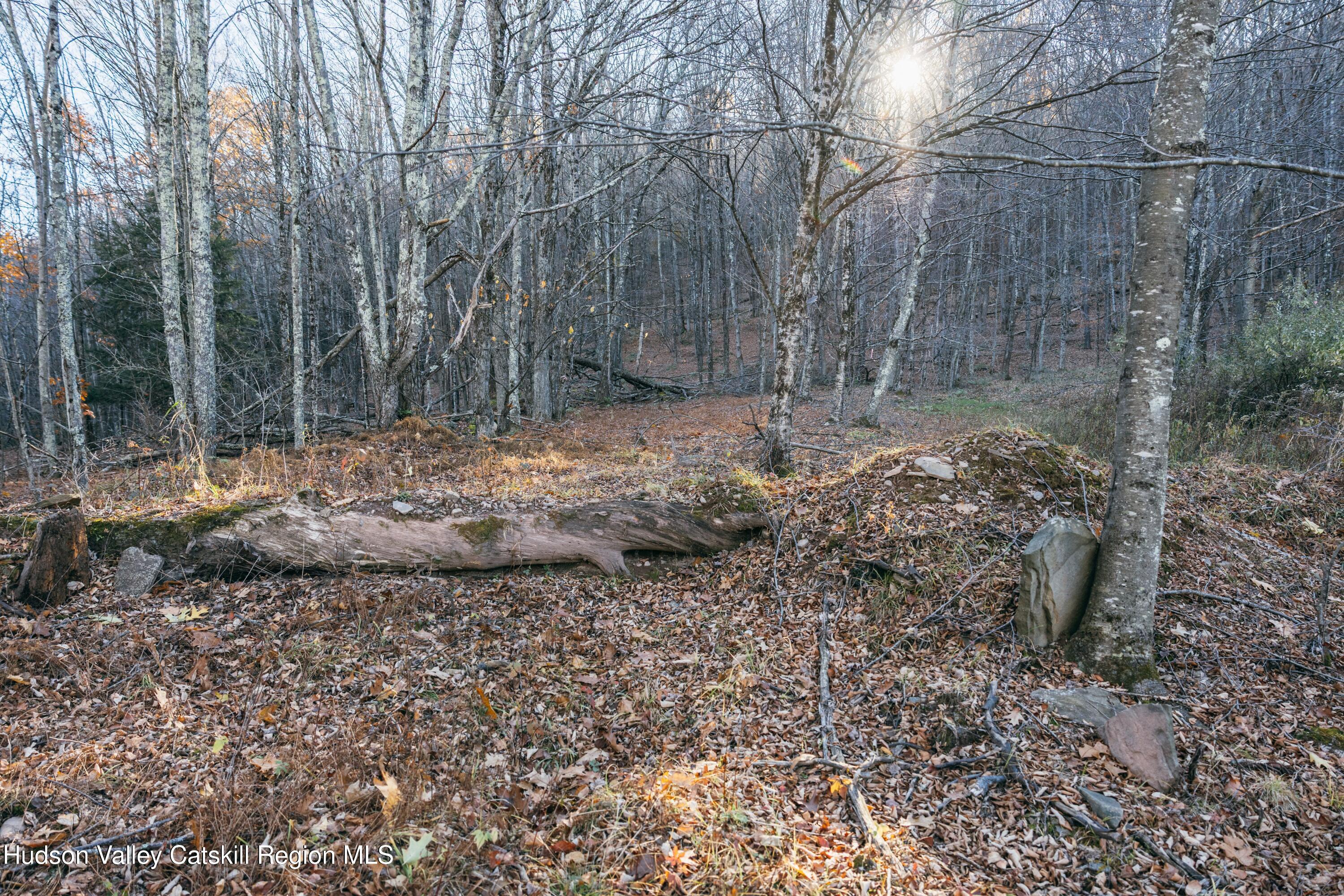 1361 Weaver Hollow Road Andes, NY 12455 - Photo 11 of 23 a view of a backyard of a house