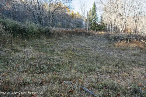 $99,000 | 1361 Weaver Hollow Road, Andes, NY 12455