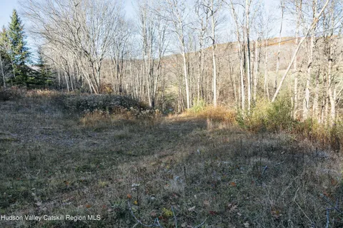 $99,000 | 1361 Weaver Hollow Road, Andes, NY 12455