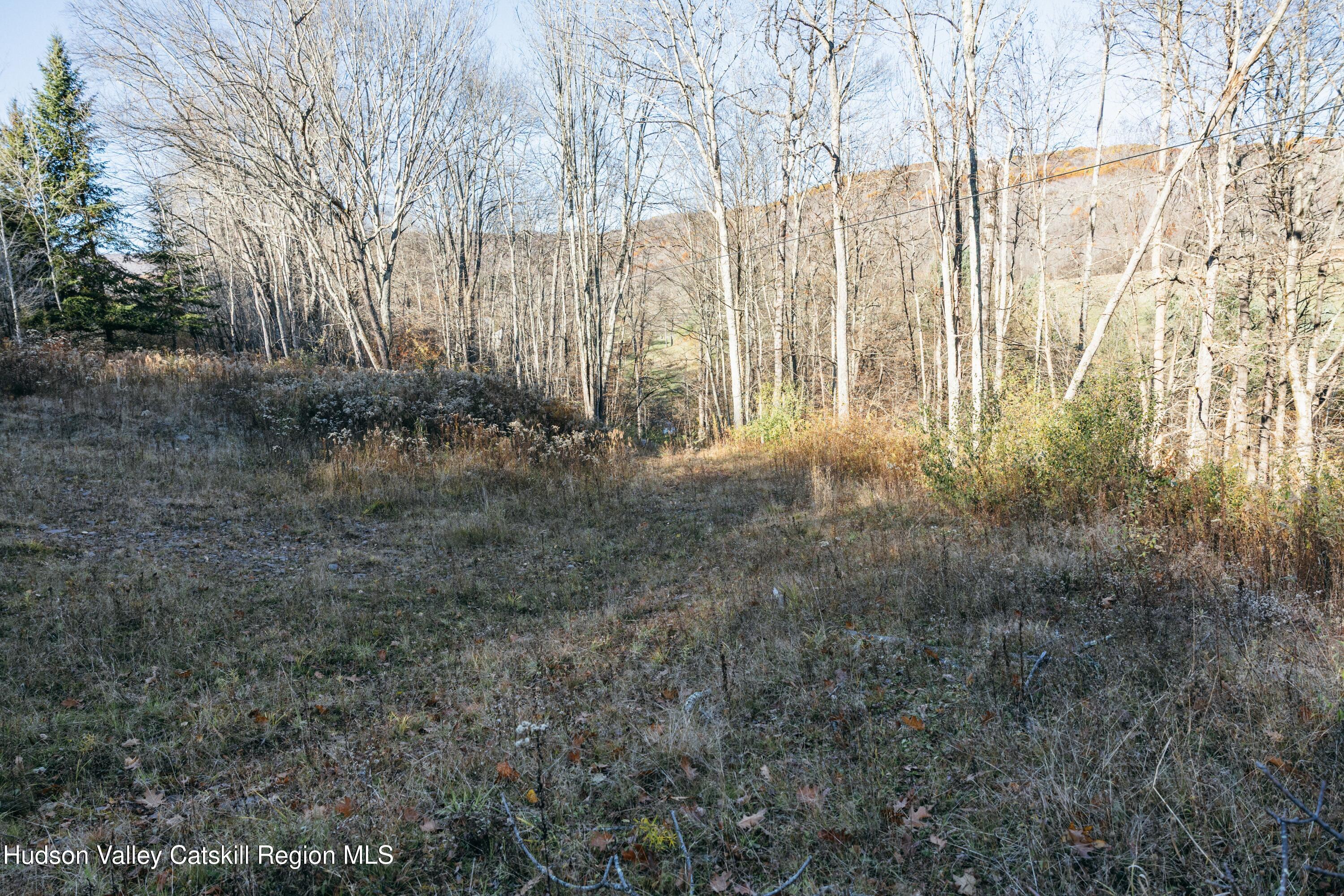1361 Weaver Hollow Road Andes, NY 12455 - Photo 14 of 23 a view of backyard with green space
