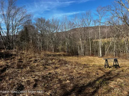 $99,000 | 1361 Weaver Hollow Road, Andes, NY 12455