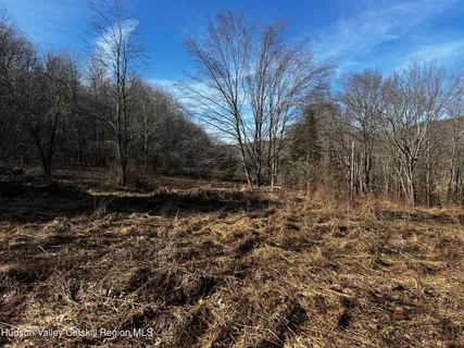 $99,000 | 1361 Weaver Hollow Road, Andes, NY 12455