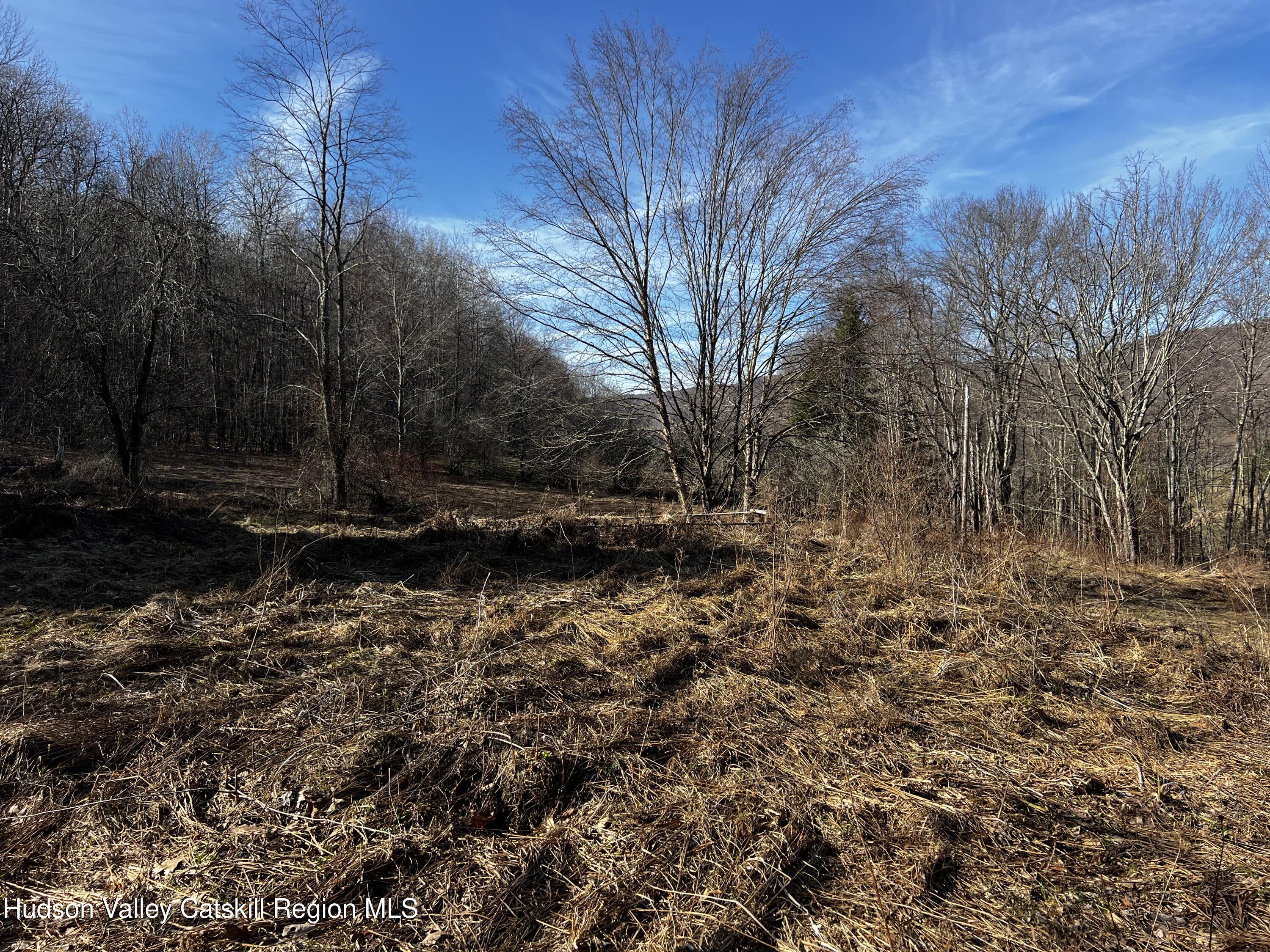 1361 Weaver Hollow Road Andes, NY 12455 - Photo 17 of 23 a view of backyard with green space