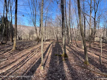 $99,000 | 1361 Weaver Hollow Road, Andes, NY 12455