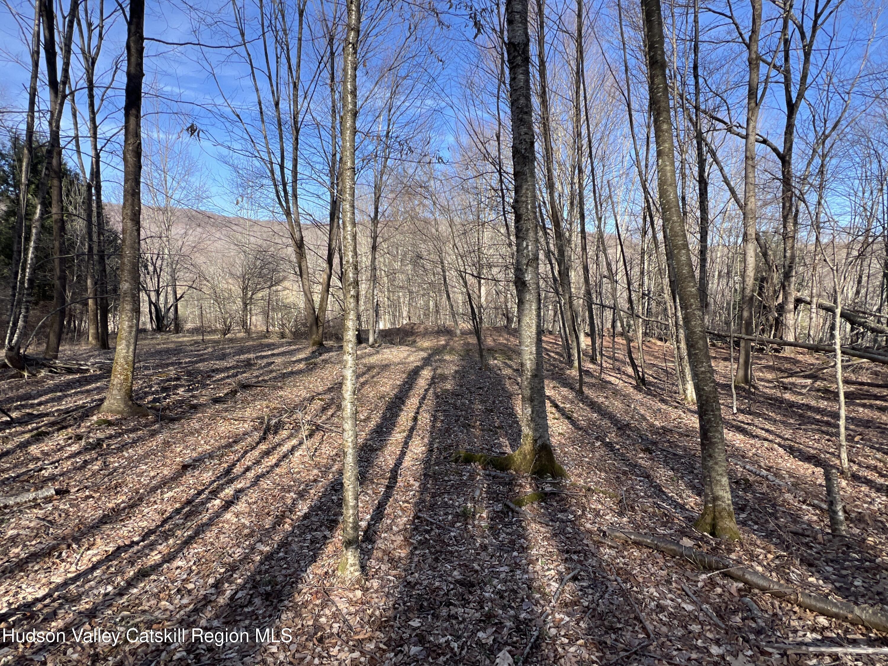 1361 Weaver Hollow Road Andes, NY 12455 - Photo 18 of 23 a view of a backyard of the house
