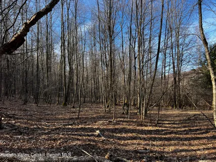 $99,000 | 1361 Weaver Hollow Road, Andes, NY 12455