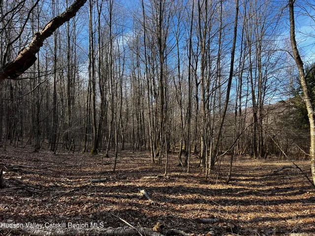 a view of a yard with a house