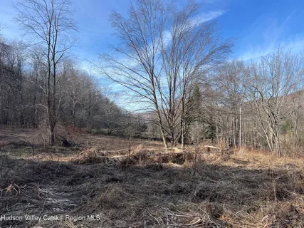 $99,000 | 1361 Weaver Hollow Road, Andes, NY 12455