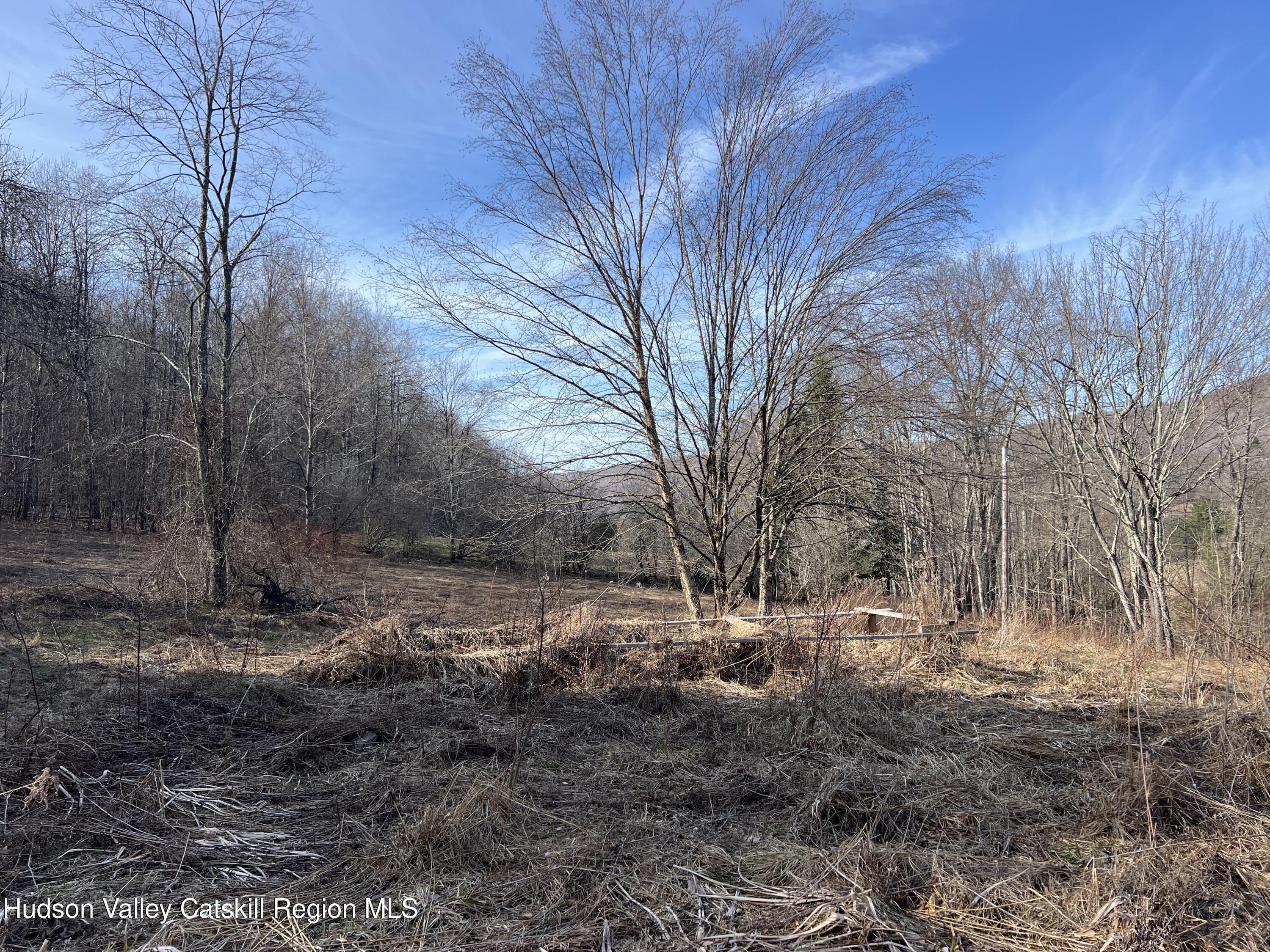 1361 Weaver Hollow Road Andes, NY 12455 - Photo 20 of 23 a view of dirt yard with a large tree