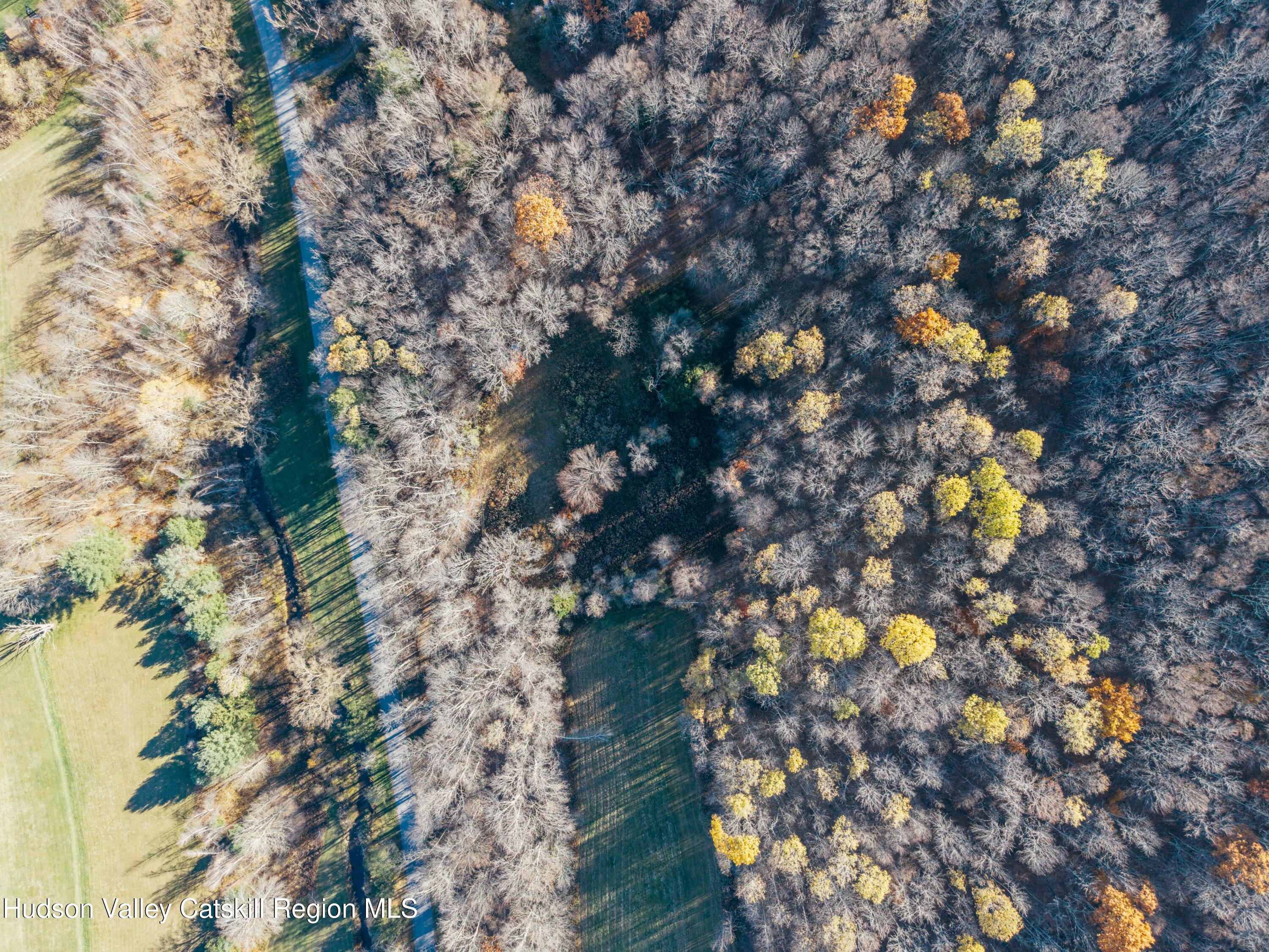 1361 Weaver Hollow Road Andes, NY 12455 - Photo 2 of 23